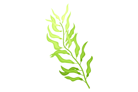 Download Green Algae Cartoon Icon. Aquatic Nature - Nature Collection